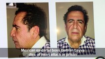 Mexican ex-cartel boss Beltran Leyva dies in prison