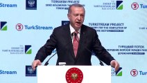 Erdoğan: 'Hedefimiz, 100 milyar dolarlık bir ticaret hacmine ulaşmaktır' - İSTANBUL