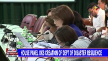 House panel oks creation of Department of Disaster Resilience
