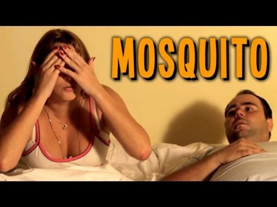 COMO ME SINTO COM MOSQUITO NO QUARTO