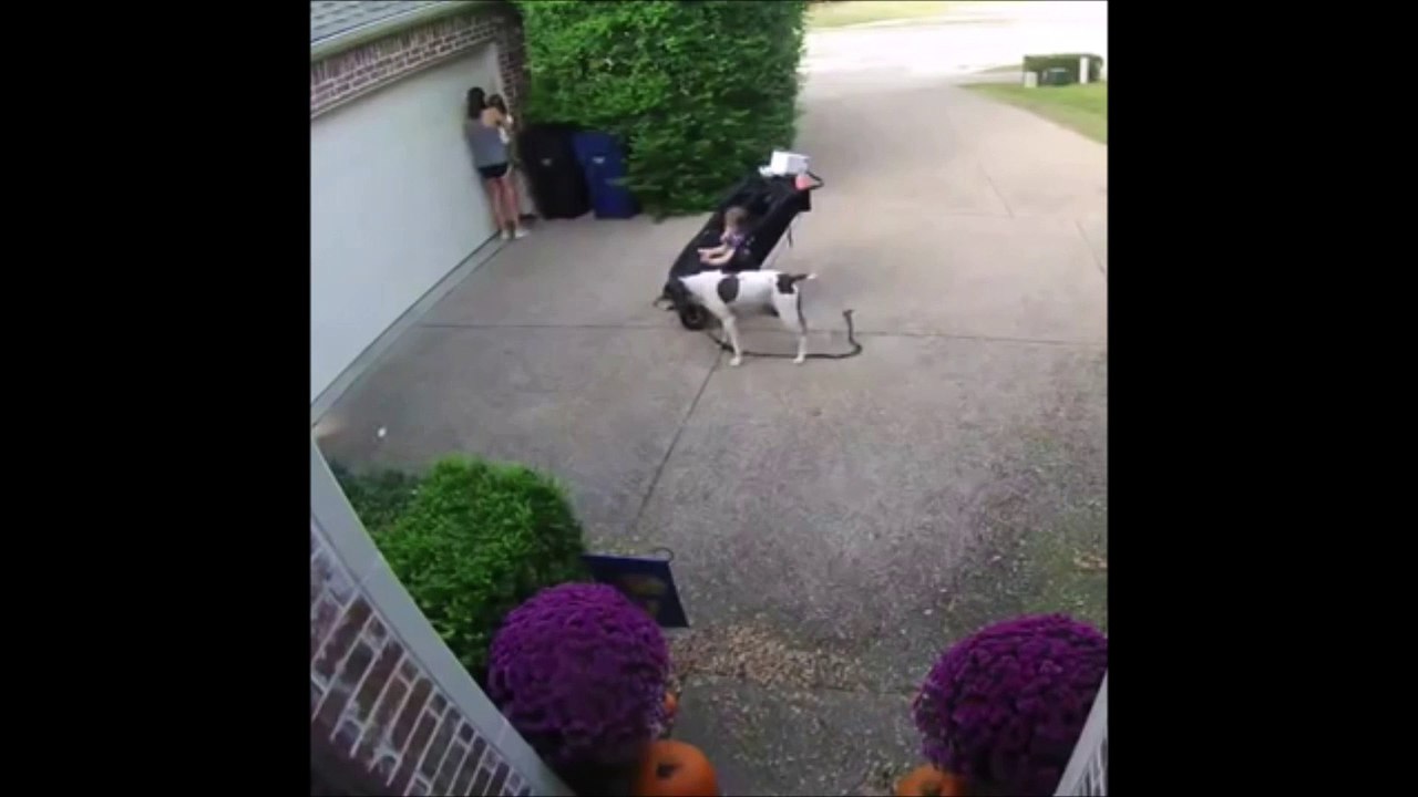 Suite à l'inattention de sa mère, une petite fille reste accrochée à une porte de garage électrique qui se range