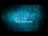 Erkan Güleryüz - Gül Bakalım (Lyrics Video)