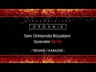 Erkan Güleryüz - Yegane (Fmin)