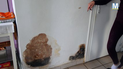 #BalanceTonTaudis : Boulevard rougier, on vit dans la peur