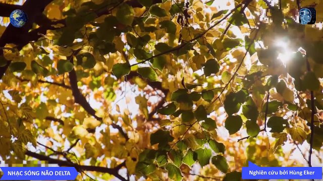 Nhạc sóng não DELTA - Chỉ nghe 30 giây là ngủ say - Nhạc không lời cho giấc ngủ ngon - Phan 2