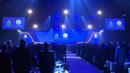 Российскому генералу прочат пост главы Интерпола. Украина протестует