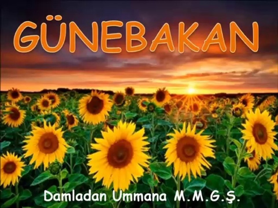 Günebakan Mustafa Murat Güngör Şiir Dinletisi