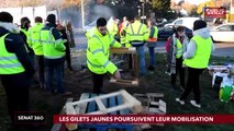 Gilets jaunes / AMF / PMA - Sénat 360 (19/11/2018)