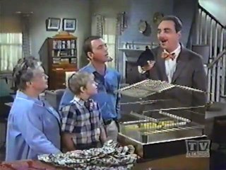 Mayberry RFD - S02E26 - The Mynah Bird