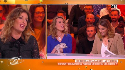 Comprendre les comportements de son chat : une vétérinaire dit tout !