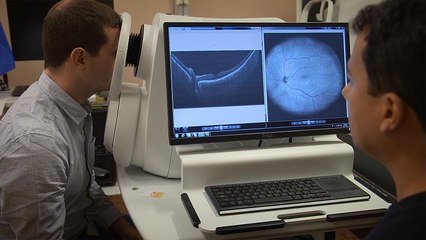 Не в бровь, а в глаз