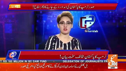 下载视频: Gharida Farooqui Response On Trump's Statement On Pakistan And Imran Khan's Reply..