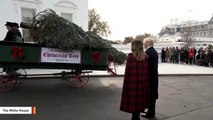 President Trump, Melania Trump Participate In White House Christmas Tree Delivery