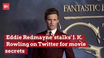 Eddie Redmayne Looking For Clues From JK Rowling Social Media