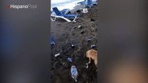 Unos parranderos dejaron una playa mexicana echa un chiquero