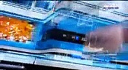 نشرة الطقس الصباحية 13-11-2016 مع دارين شاهين - فيديو , tv 2017 & 2018