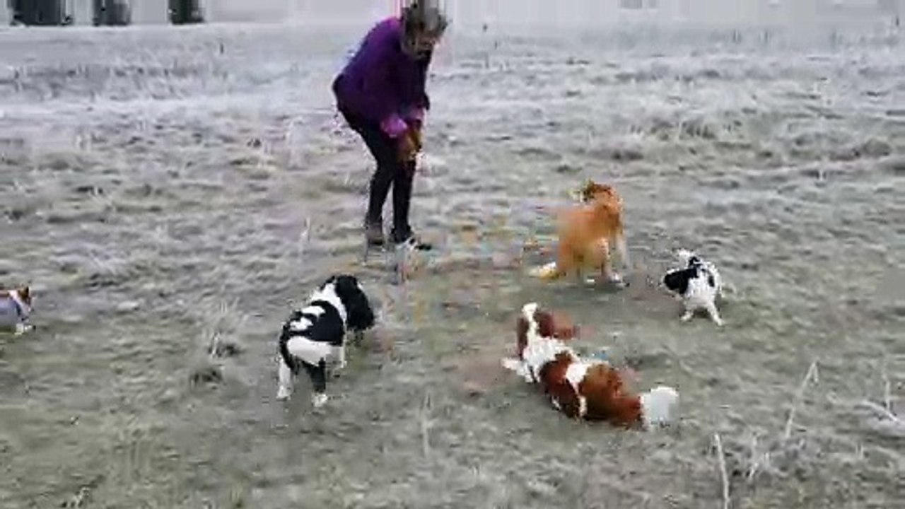 Bonheur avec mes poilus