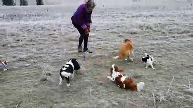 Bonheur avec mes poilus