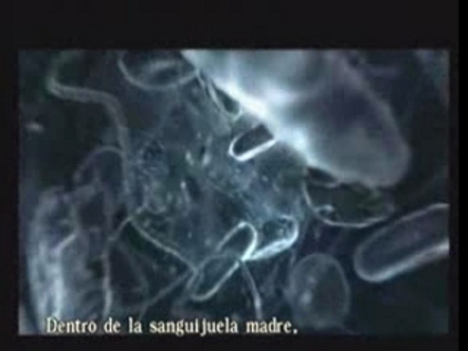 Resident Evil Ø - Queen Leech