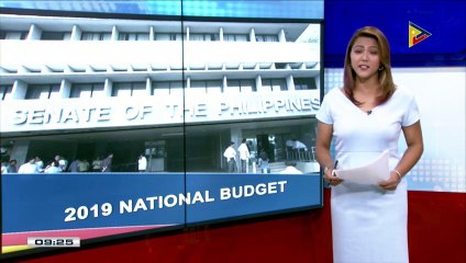 Ilang senador, dudang maipapasa sa takdang petsa ang panukalang 2019 national budget