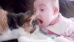 Baby and Cat Funny and Fails - Funny Baby Videos - Funny Cat Videos