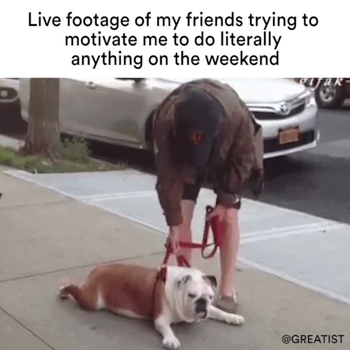 Live footage of my friends trying to motivate me to do literally anything on the weekend