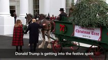 President Trump and First Lady receive White House Chrismas tree