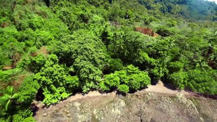 Great Blue Wild Series 1 Part 14 Costa Rica