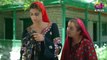 Deedan - Episode 6 - Aplus Dramas - Sanam Saeed, Mohib Mirza, Ajab Gul, Rasheed - Pakistani Drama