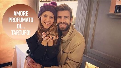 Shakira e Piqué: insieme a caccia di preziosi tartufi