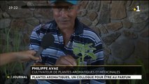 Tahiti accueille le Xe colloque ultramarin sur les plantes aromatiques