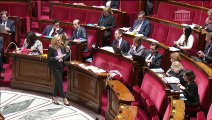 2ème séance : Programmation 2019-2022 et réforme de la justice (projet de loi) et renforcement de l'organisation des juridictions (projet de loi organique) (discussion générale commune) - Lundi 19 novembre 2018