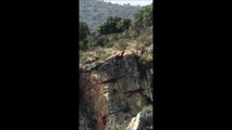 Plusieurs chiens et un cerf tombent d'une falaise en Espagne.