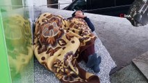 Taksim'in göbeğinde  çocukların  içler acıtan görüntüsü...Soğuk havada sokağın ortasında yatıyorlar