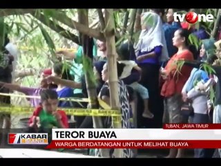 Ngeri, 6 Buaya Muncul di Sungai Bengawan Solo