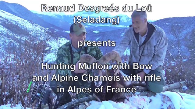 France Alpes, Alpine ibex, animal hunting, Markhor hunting Muflon with bow
