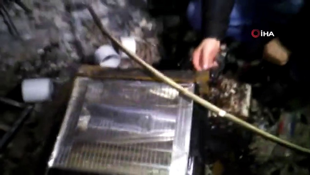 Ünlü Youtuber Emre Özkan ve Kız Arkadaşı Cansu Kovancı Yangında Öldü