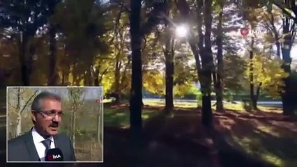 Tokat'tan Sonbahar Manzaraları Havadan Böyle Görüntülendi