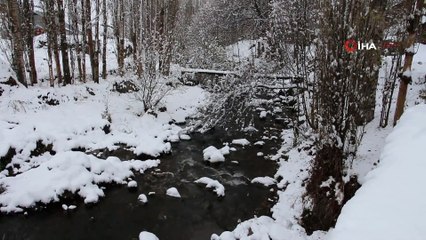 Kar Kartpostallık Görüntüler Oluşturdu