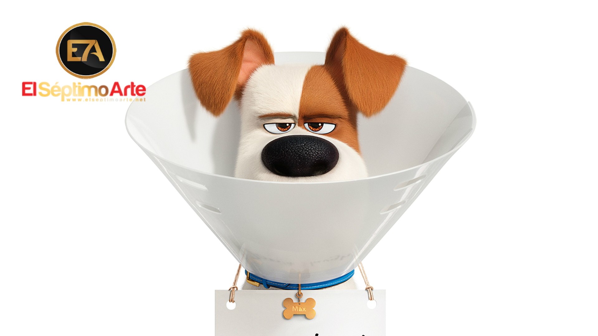 ⁣The Secret Life of Pets 2 - Segundo tráiler V.O. (HD)