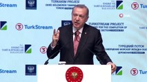 TürkAkım Projesi Açıldı: Cumhurbaşkanı Erdoğan ve Rusya Lideri Putin'den Tarihi Konuşma