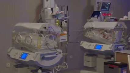 İstanbul 910 Gramlık Minik Savaşçı