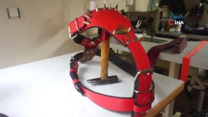 Amerika'daki Köpeklere Türk Tasması