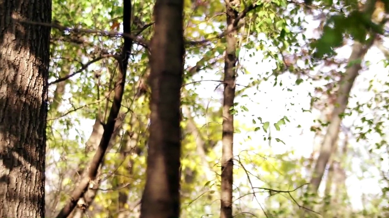 Environmentally Friendly Window Covering Treatments Roman Shades Rowayton