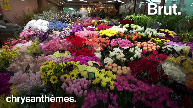 Le marché mondial des fleurs et son impact écologique