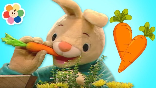 Coelhinho Harry e Sua Coleção | Desenhos Animados Educativos | BabyFirst TV Brasil