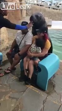 Cet éléphant de mer vient poser pour la photo avec des touristes !