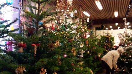 Bouxwiller : mise en place de l'exposition temporaire "Mon beau sapin..."