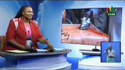 RTB/Lancement de la campagne d’égrenage  du coton graine par le Directeur  de la SOFITEX