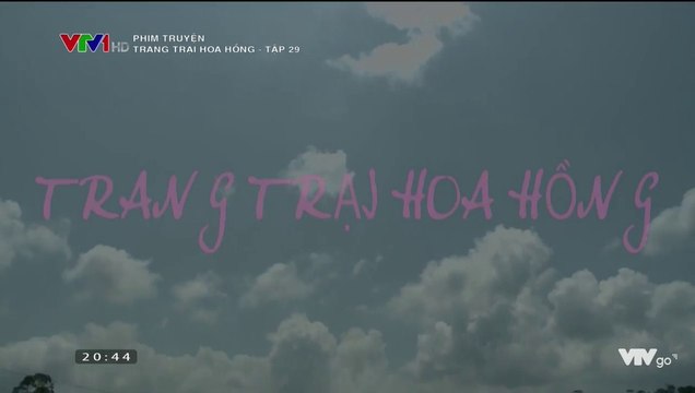 Trang Trạ Hoa Hồ Tậ 34 - Phim Việ Nam (Phim Mớ Hay)